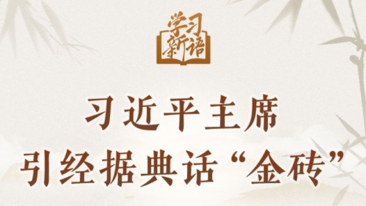 學(xué)習(xí)新語(yǔ)｜習(xí)近平主席引經(jīng)據(jù)典話“金磚”