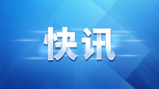 快訊：摩爾多瓦中選委21日公布的初步計(jì)票結(jié)果顯示，現(xiàn)任總統(tǒng)桑杜與斯托亞諾格洛將進(jìn)入總統(tǒng)選舉第二輪角逐