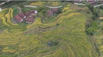 生態(tài)賦能高山梯田展新顏 “良田+美景”成農(nóng)戶增收新密碼